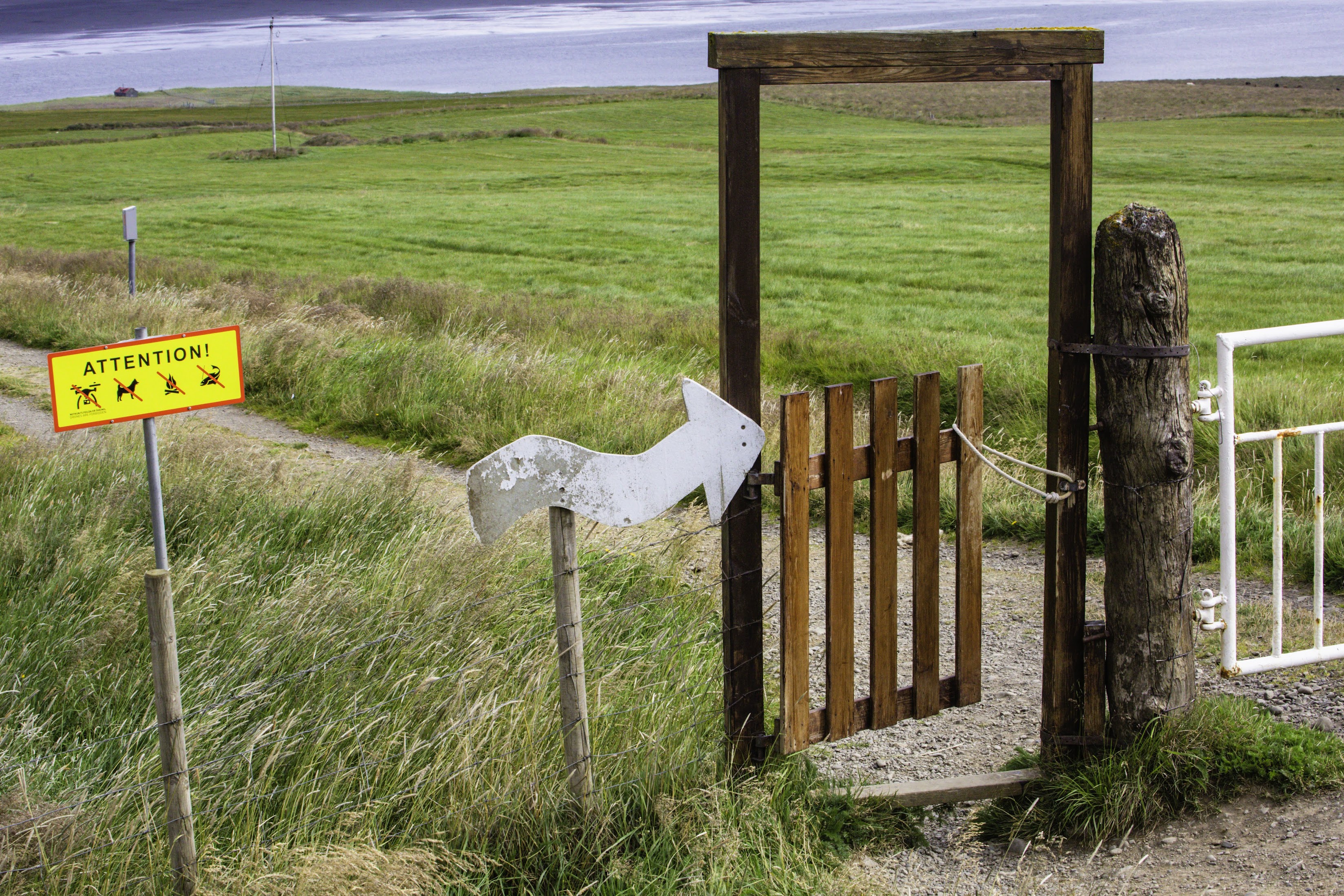 Исландия - родина слонов (архипелаг Vestmannaeyjar, юг, север, запад и Центр Пустоты)