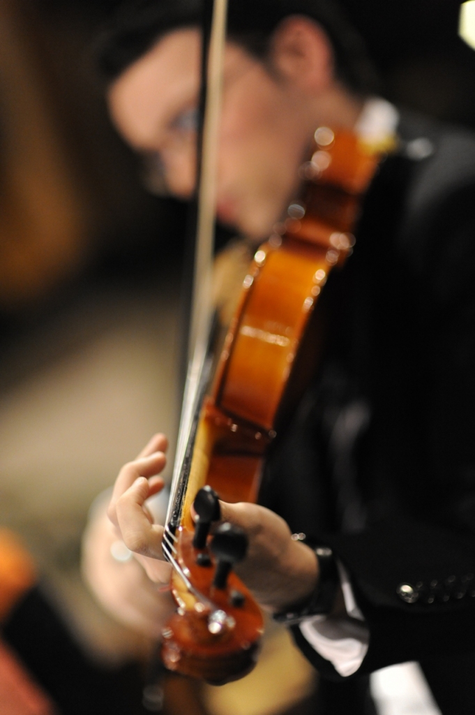 Le mani del Violinista di giothebike