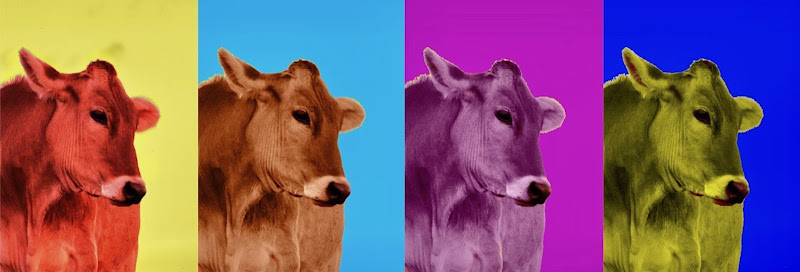 Andy Warhol - Cows - 1966 di giuseppedangelo