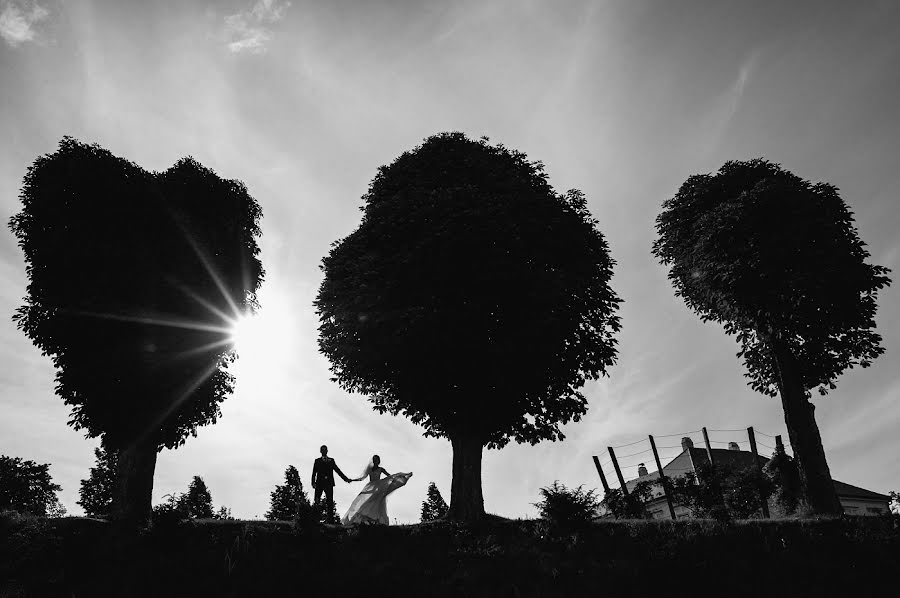 Düğün fotoğrafçısı Jiri Sipek (jirisipek). 24 Mayıs 2018 fotoları