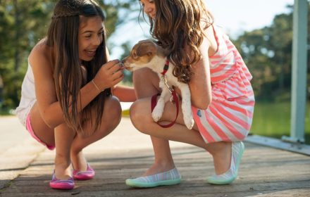 Two girls holding dogs small promo image