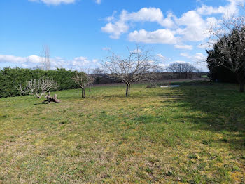 terrain à Saint-Jean-Lherm (31)