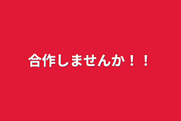 合作しませんか！！