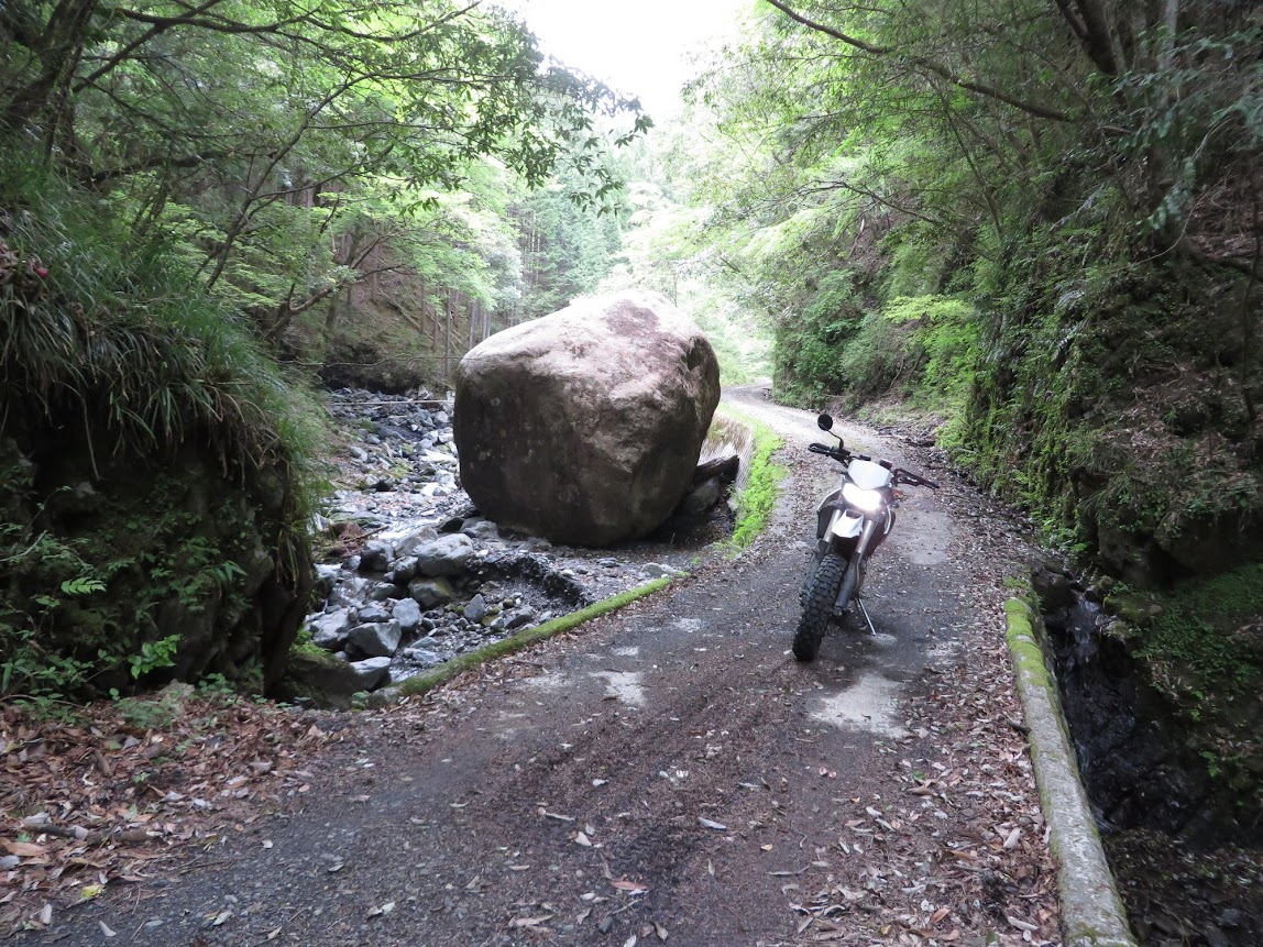 勘行峰と黒川林道 林道のその先に