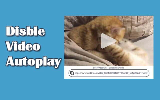 Tumblr Disable Video Autoplay Preview image 3