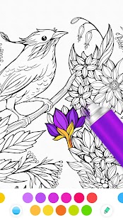 InColor - Coloring Books 2018 Screenshot