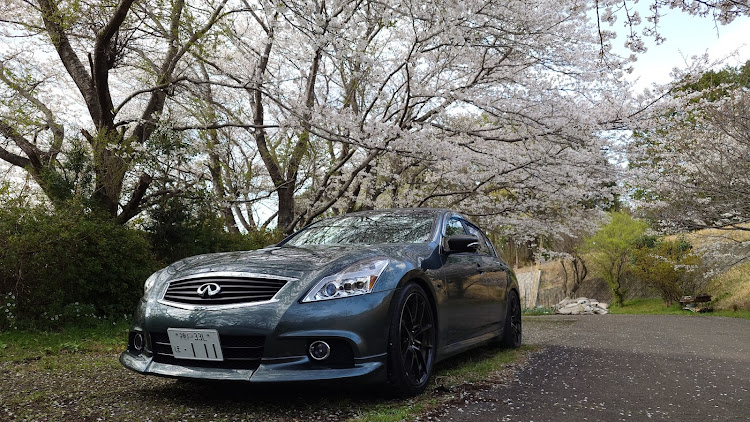 スカイラインの桜と愛車・4月もよろしくお願い致します🌸・V36・キャンギャル・スカイラインに関するカスタム事例の投稿画像2枚目