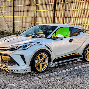 C-HR ZYX11