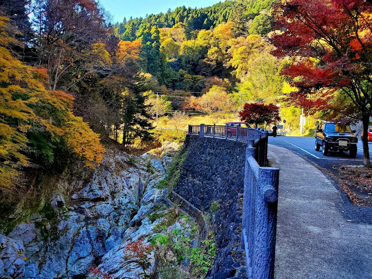 の投稿画像7枚目