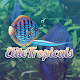 Download Elite Tropicals For PC Windows and Mac 2.0.0