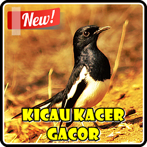 Kicau Kacer Super Gacor  Icon