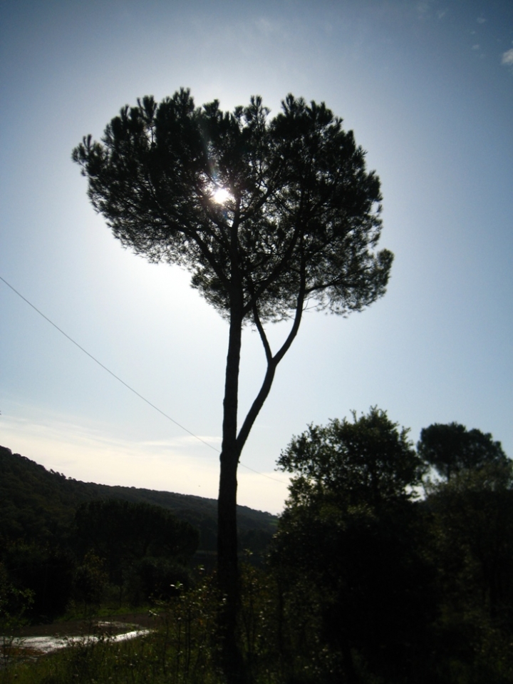 Parco di Bunnari di sardinianscorpio