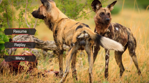 サバイバル野生の犬シミュレーター