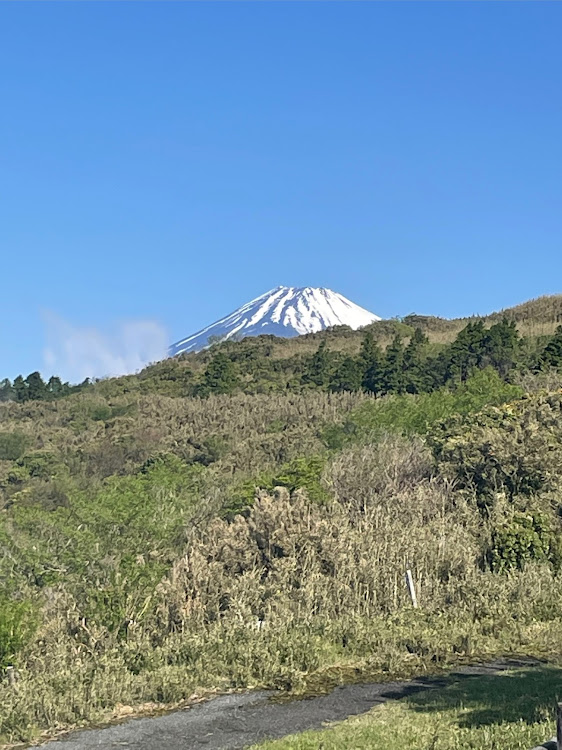 の投稿画像3枚目