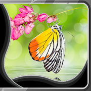 Butterfly Live Wallpapers  Icon