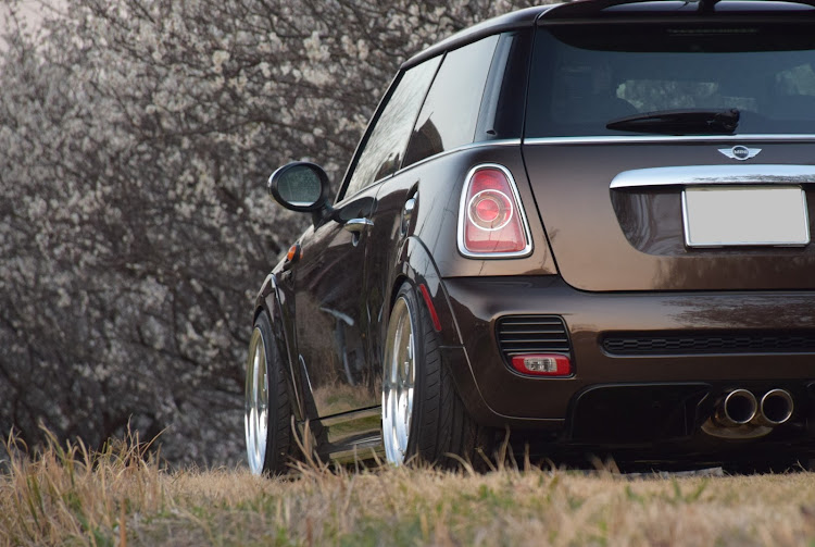 ミニのR56 MINI ONE・春の風物詩と愛車・梅の花とコラボに関するカスタム事例の投稿画像8枚目