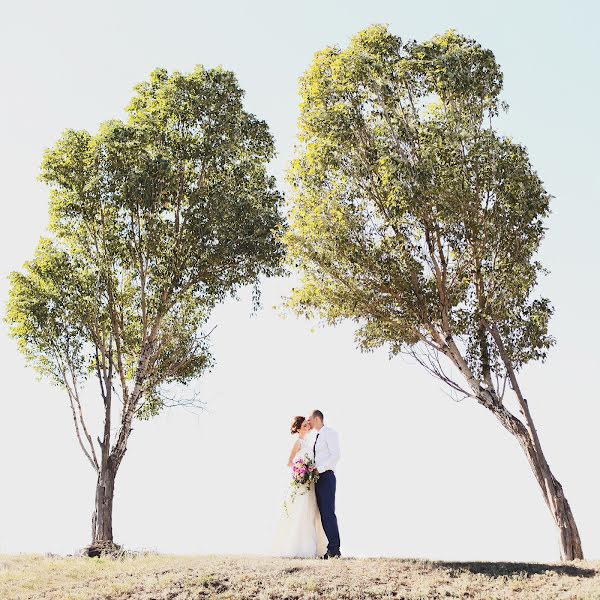 Fotógrafo de casamento Nolla Malova (nolla). Foto de 28 de setembro 2015