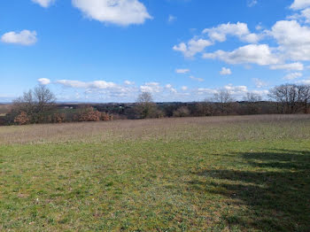 terrain à Saint-Jean-Lherm (31)