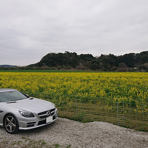 SLK R172