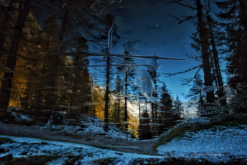 Riflessi Glaciali di Luca Tondat