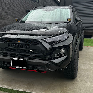 RAV4 MXAA54