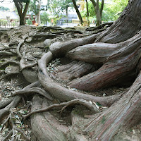 residente del parco di 