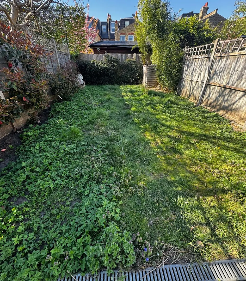 Album cover: Lawn maintenance 