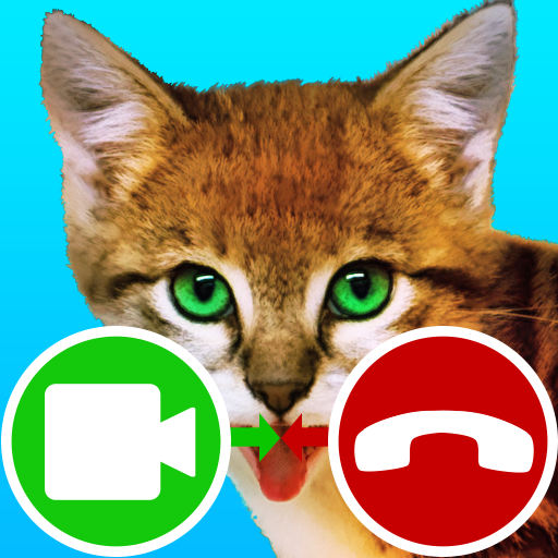 fake call video cat game