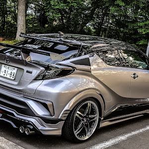 C-HR ZYX10