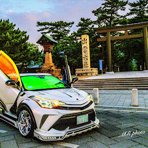 C-HR ZYX11