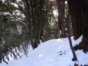 右下に破線の下山路