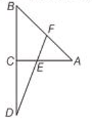 Basic Proportionality Theorem