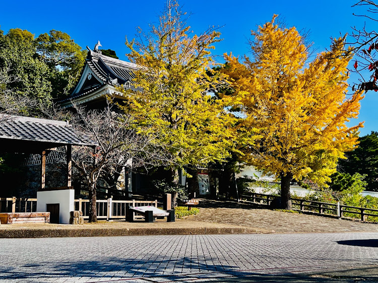 プリウスの紅葉・priusに関するカスタム事例の投稿画像11枚目