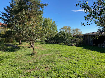 maison neuve à Saint-Marcellin-en-Forez (42)