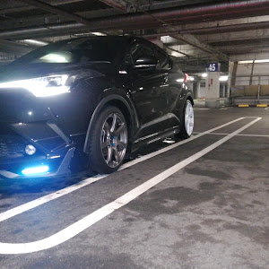 C-HR NGX50