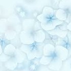 あいす