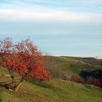 Sentieri d'autunno di 