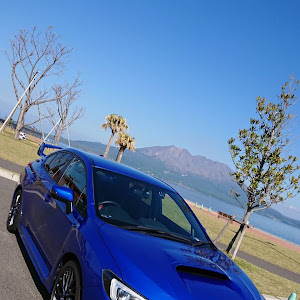 WRX STI