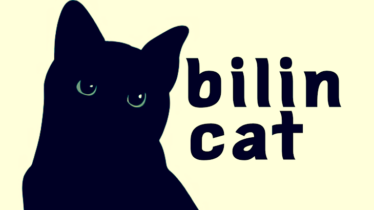 「bilincat」のメインビジュアル