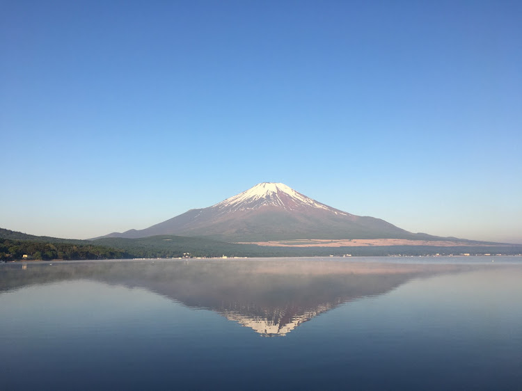 の投稿画像4枚目