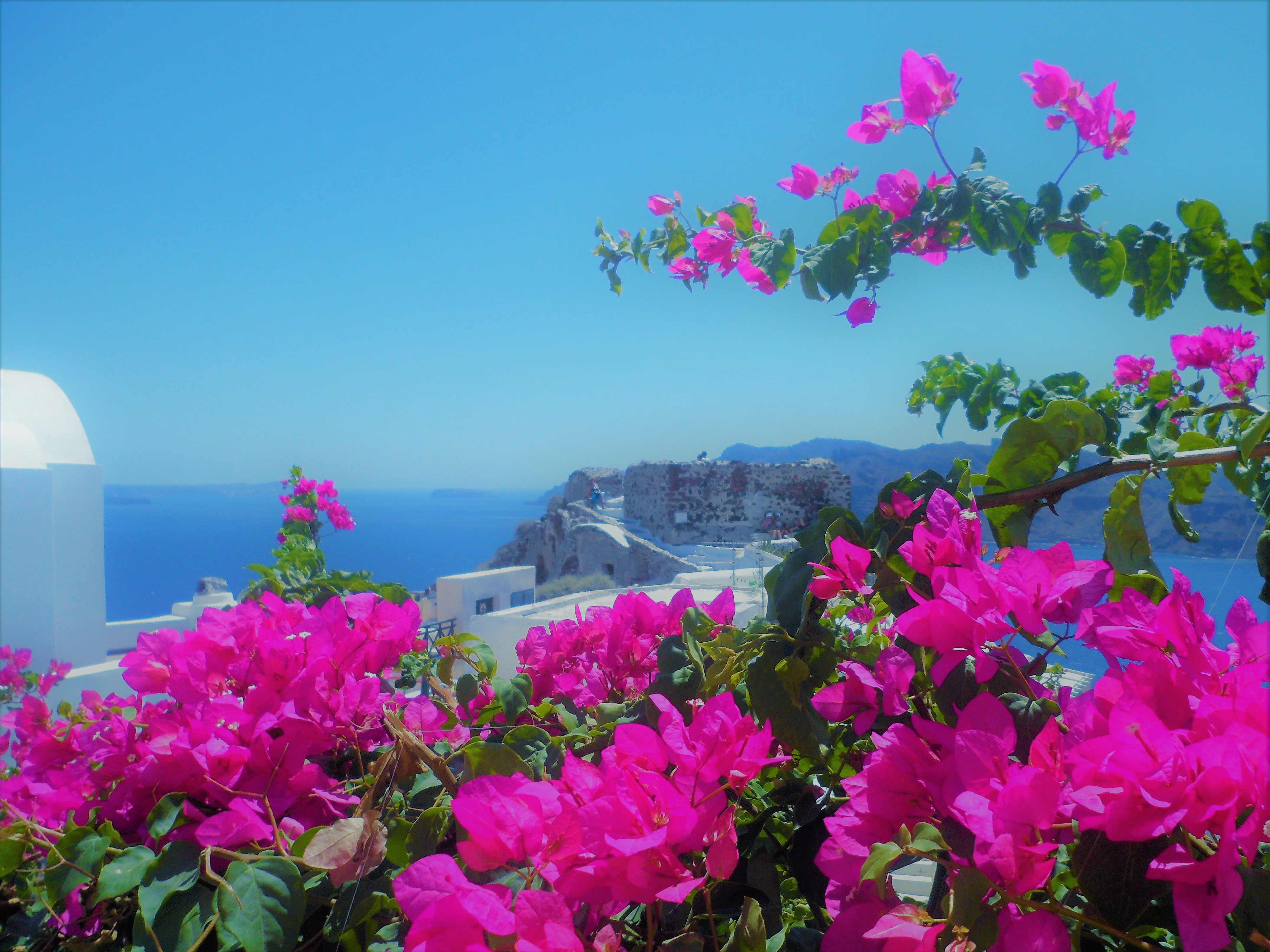 Profumo di mare e di fiori di bouganville di Patrizia-Patty