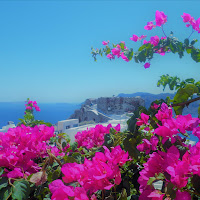 Profumo di mare e di fiori di bouganville di 