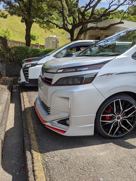 ヴォクシーのチームピンスト・No.001・Red Daemon Style・コロナが早く終息しますように・Black Dragon Styleに関するカスタム事例の投稿画像2枚目