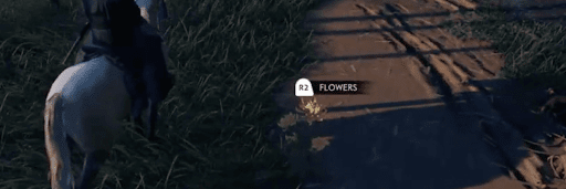 Ghost of Tsushima_Efficient Ways to Earn Flowers