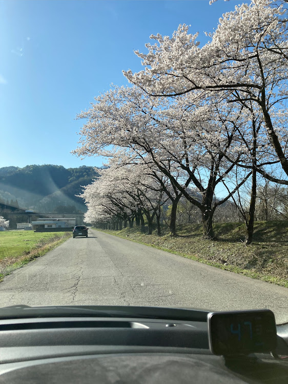 の投稿画像13枚目