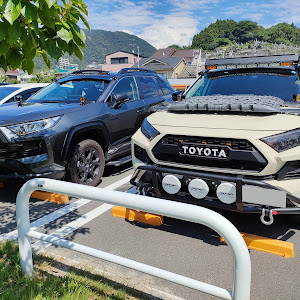 RAV4 MXAA54