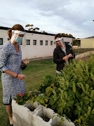 Black Oyster Catcher owner Sandra Human (right) and farmer Melissa van Breda (left) pick vegetables from a garden on the human property to add to the pot.