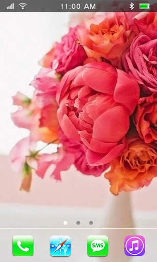 Peonies cute Live Wallpaper