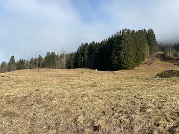 terrain à Mijoux (01)