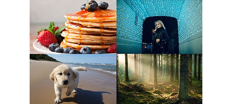 Composite image showing a food photo, a night portrait, a pet photo and a woodland photo demonstrating backlit correction